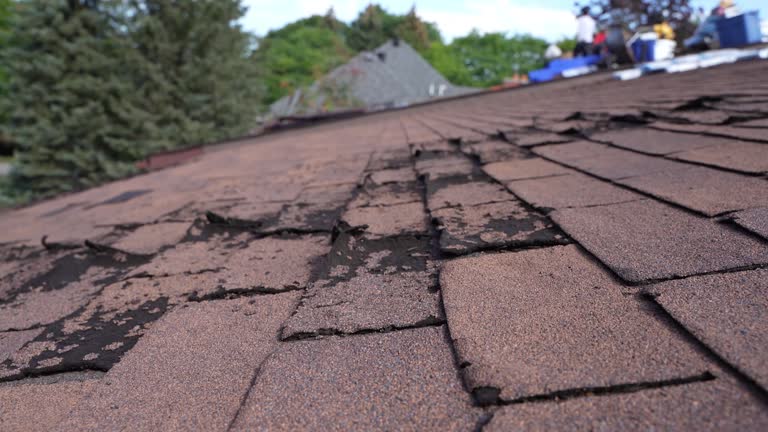 Best Metal Roofing Installation  in Lampeter, PA