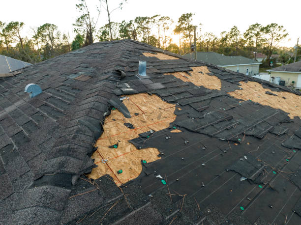 Best Roof Coating and Sealing  in Lampeter, PA