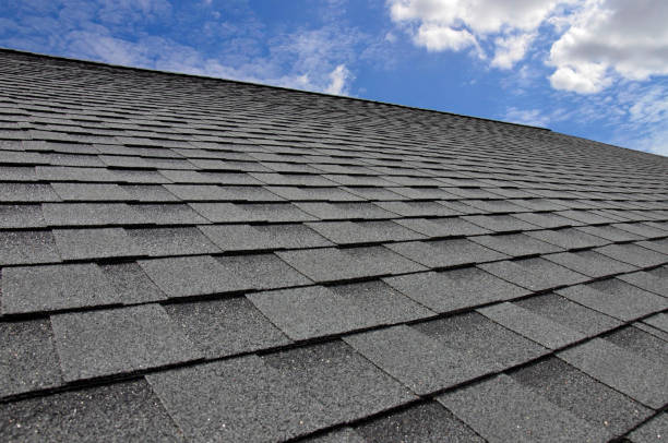 Best Roof Insulation Installation  in Lampeter, PA