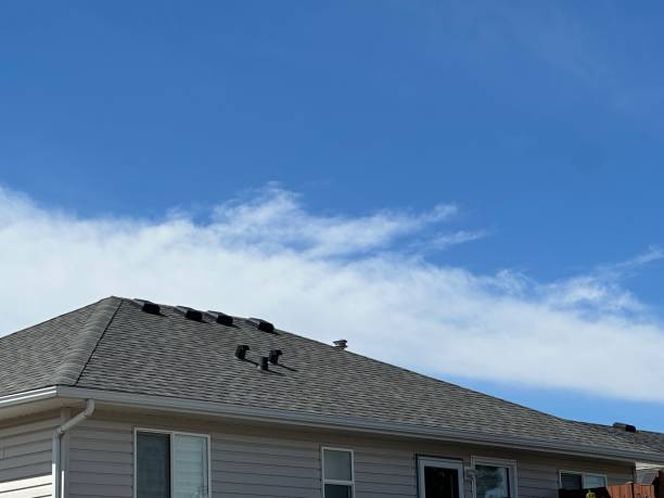 Best Metal Roofing Installation  in Lampeter, PA